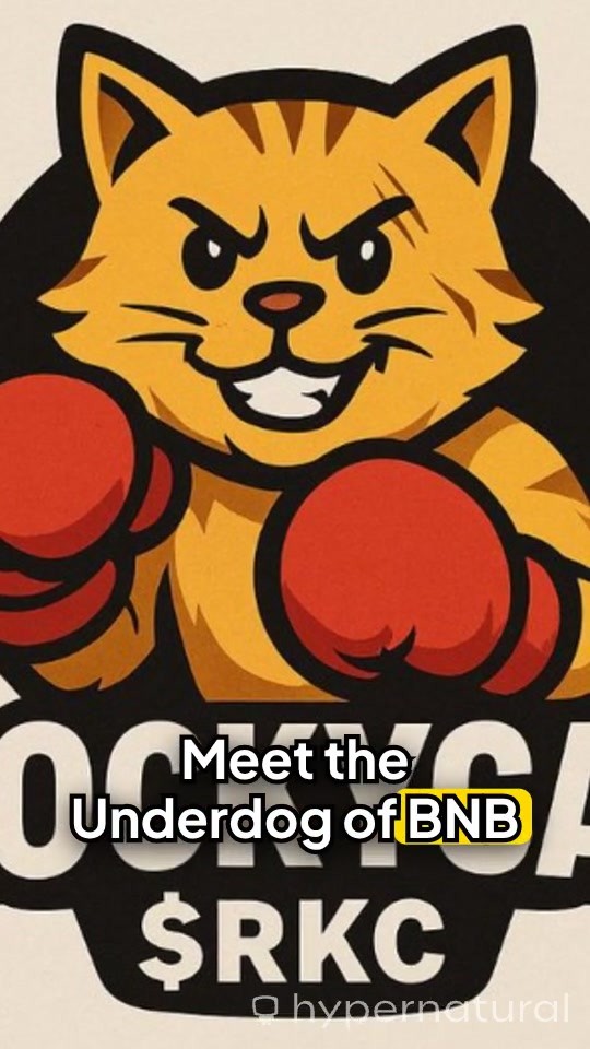 RockyCat: The Underdog Punching Its Way to the Top! 🚀😼🥊
