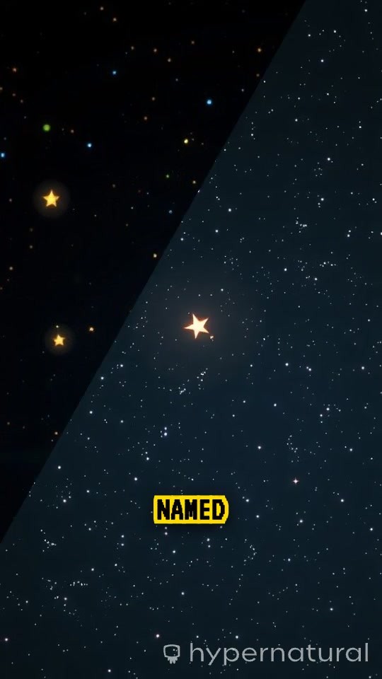 Tiko's Quest for Happiness