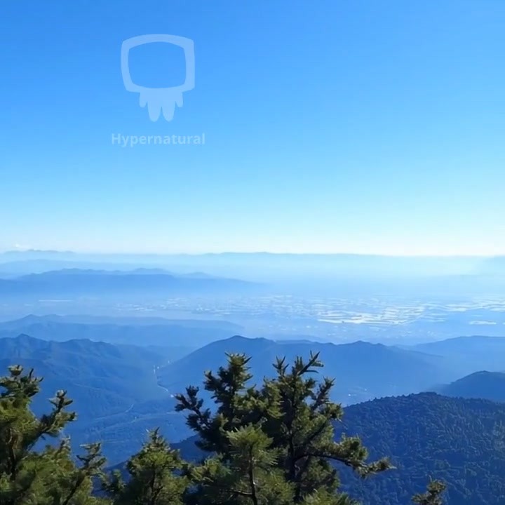 होली का जश्न