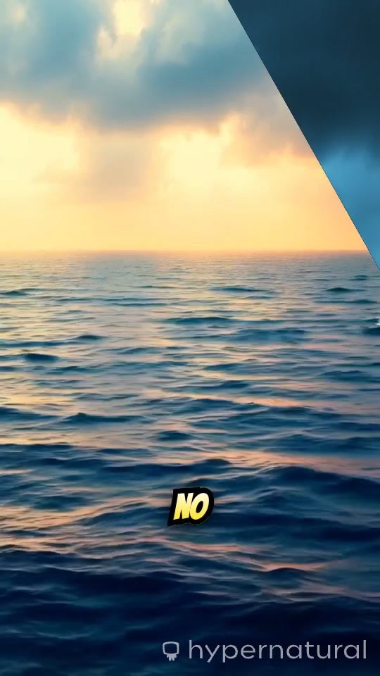 Kepler-138d: The Oceanic Expanse of a Drowned World