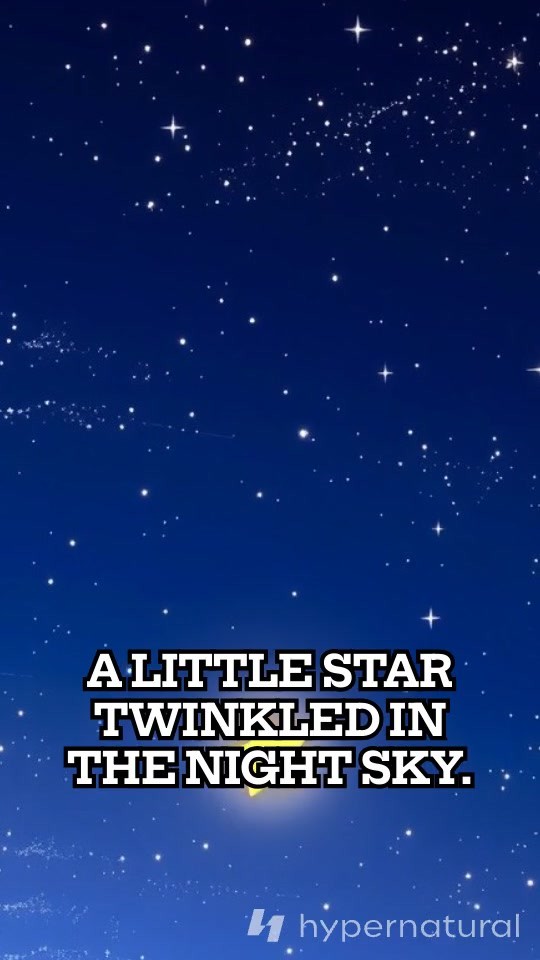 A Little Star's Wish