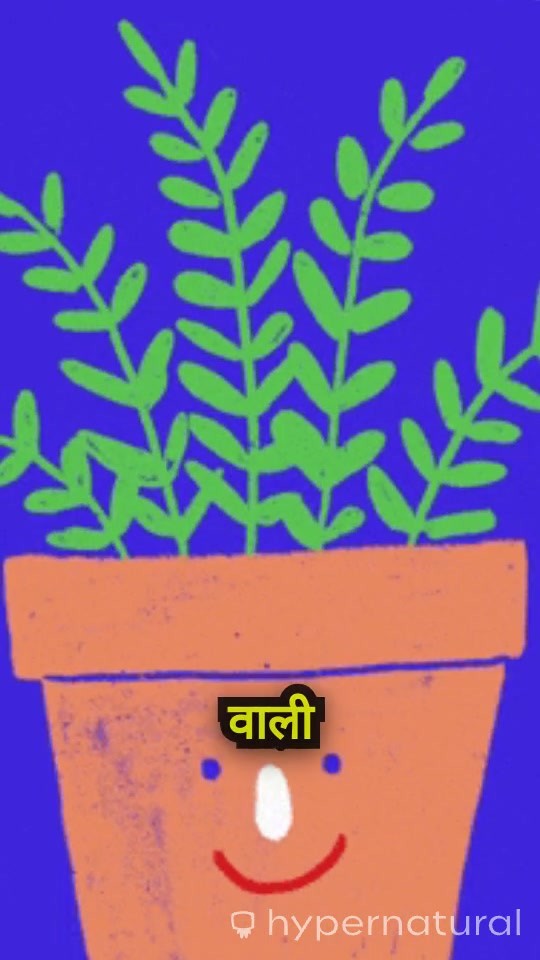 दादी और आवारा बिल्ली की अनोखी दोस्ती