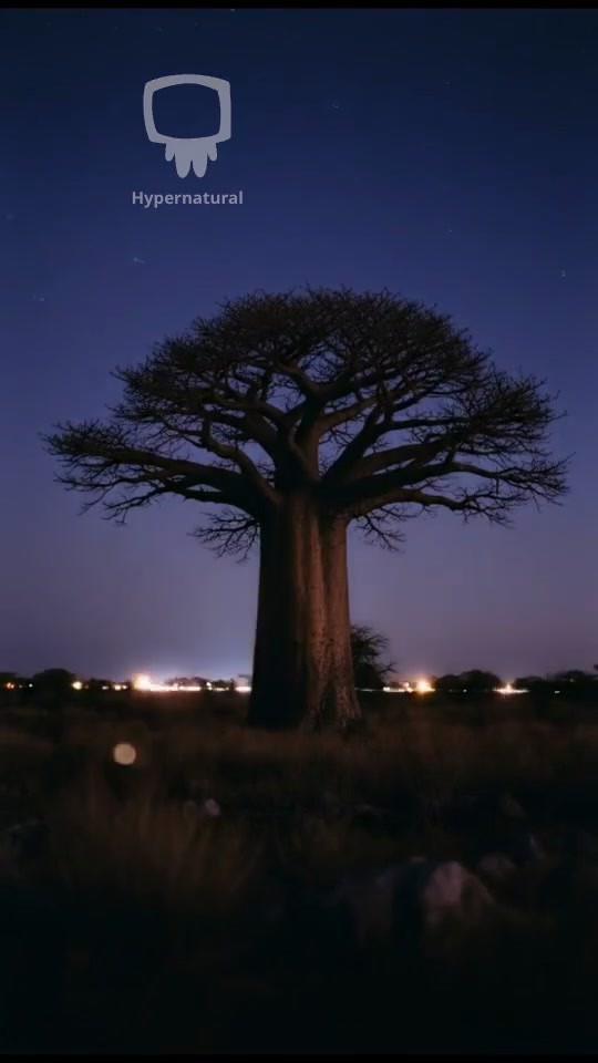 A Tale Told in African Style