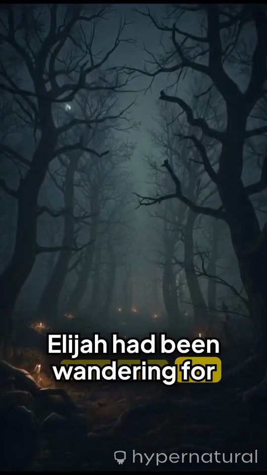 Whispers of the Night