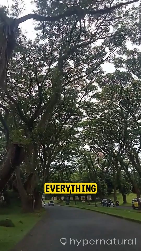 Walking in Faith Through Uncertainty