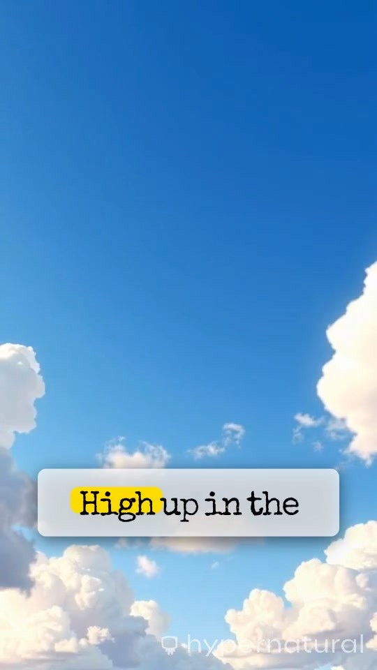 The Little Cloud That Got Lost