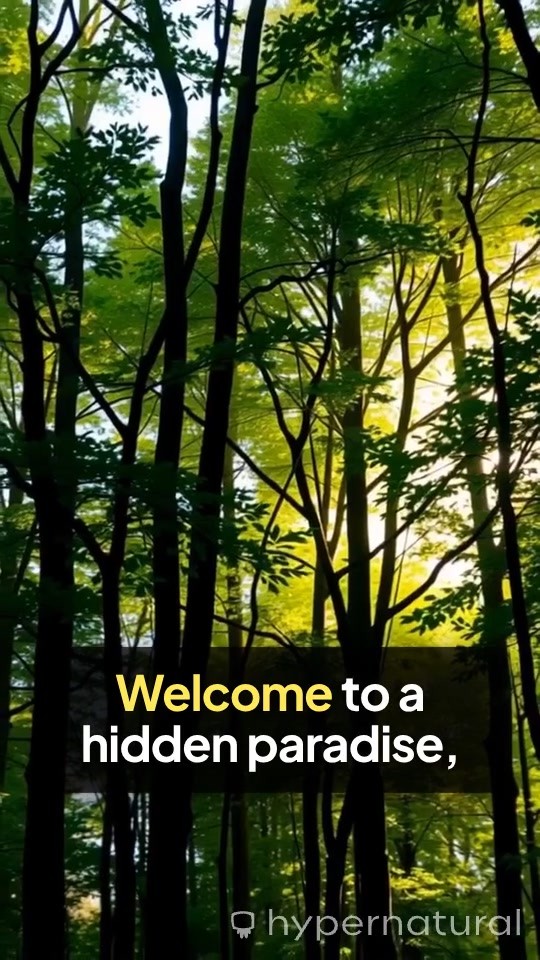 A Symphony of Nature: The Beauty of Birds