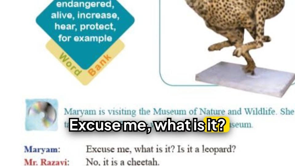 Saving the Endangered Iranian Cheetah