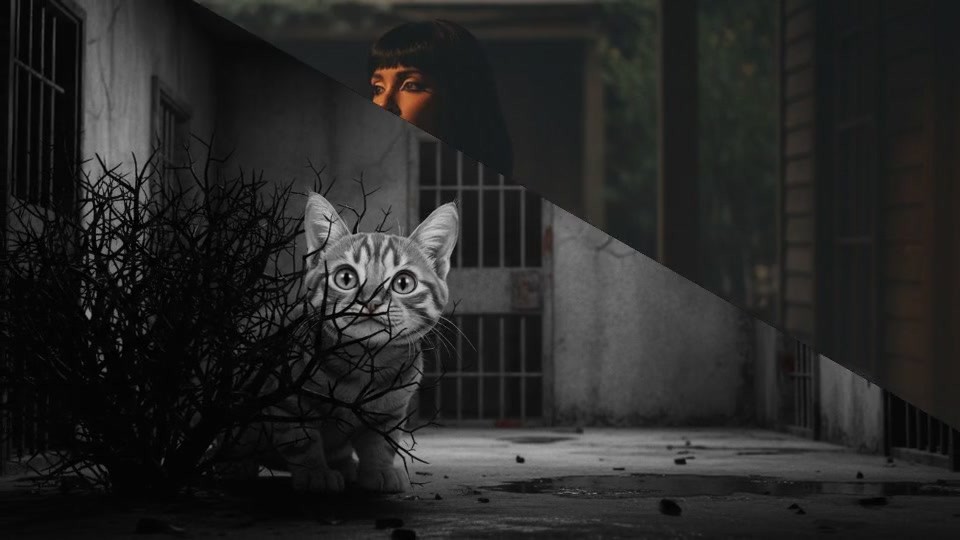 Reunited with My Feline Friend!