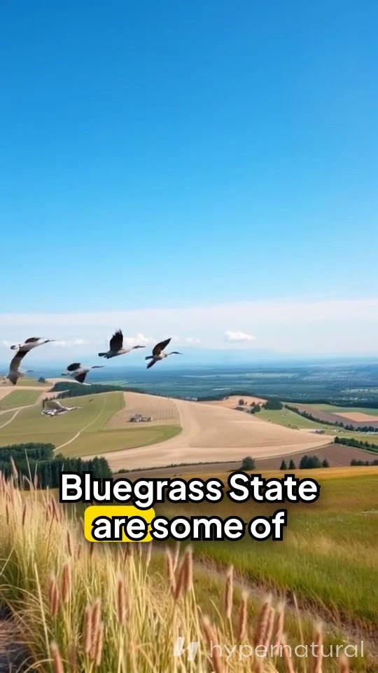 Discover Kentucky's Hidden Gems