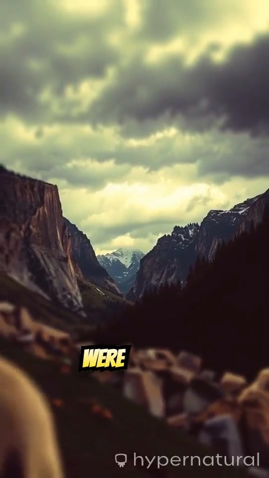 Strength Born of Struggle: The Hidden Voices of Resilience