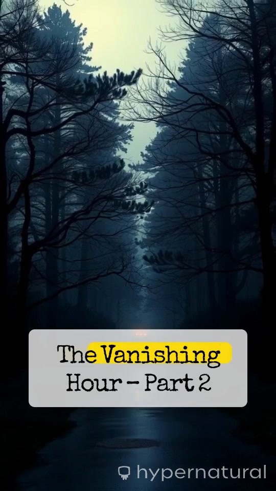 The Silence is Watching: Unraveling Mary Mark's Mystery