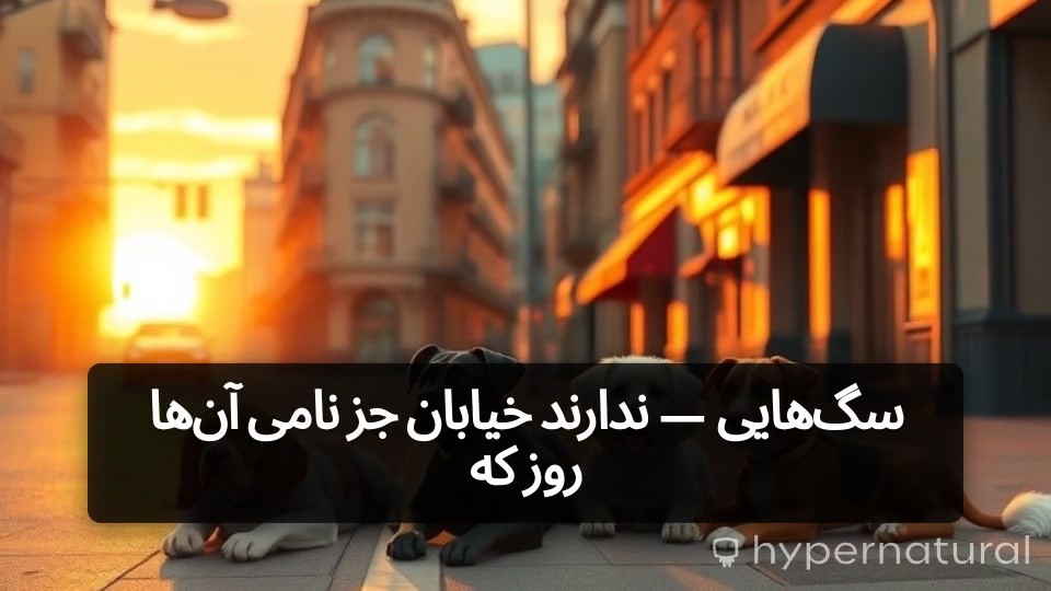 امید در کنار خیابان