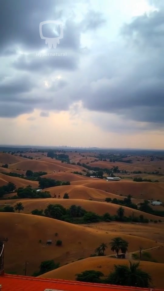 The Hidden Conflict (copy)