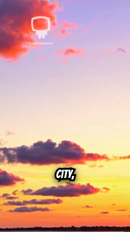 Maps of Mystery: Journey into the Unknown