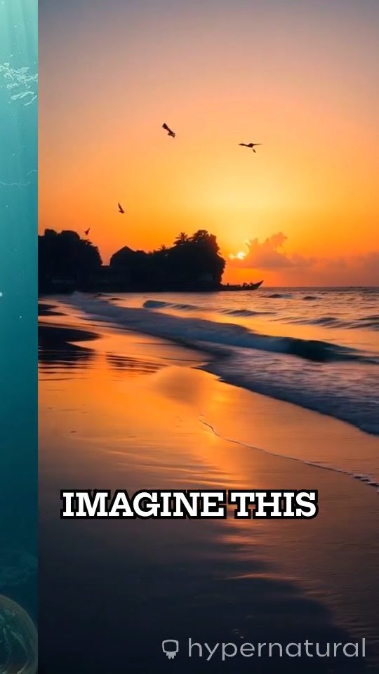 What If Humans Could Breathe Underwater?