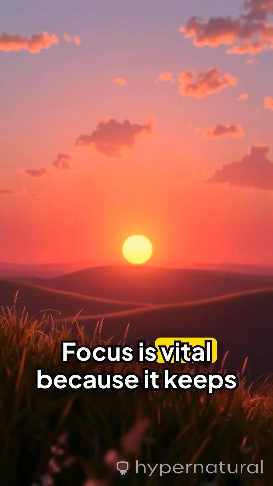 The Power of Focus: Turning Effort into Results