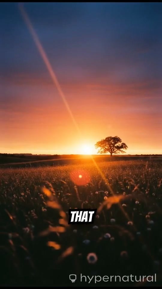 Miracles Await: Embrace the Journey of Growth