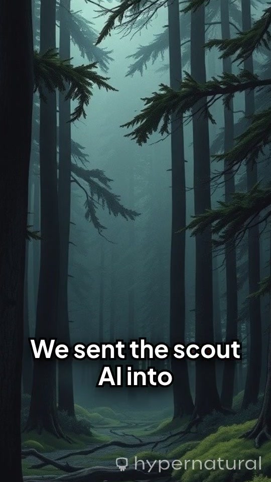 Whispers in the Code: Aokigahara's Secrets