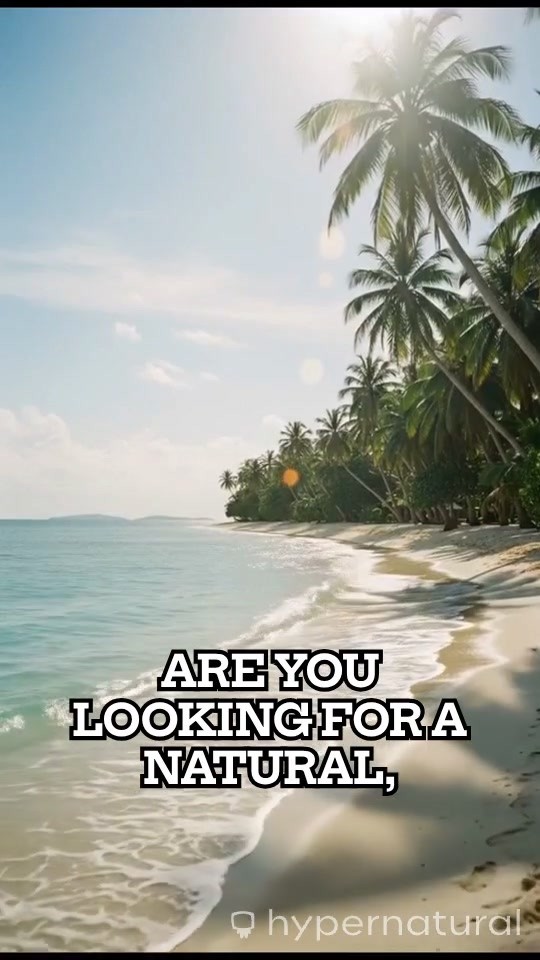 Eksplorasi Keindahan Pantai Kepo di Sabu Raijua