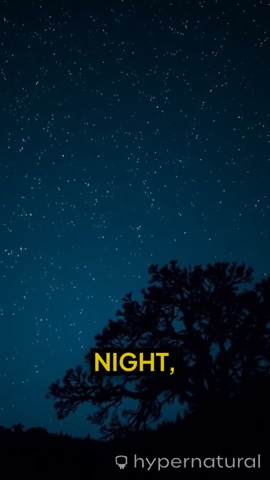 Dreamscape of Insomnia: A Poetic Silhouette in the Dark