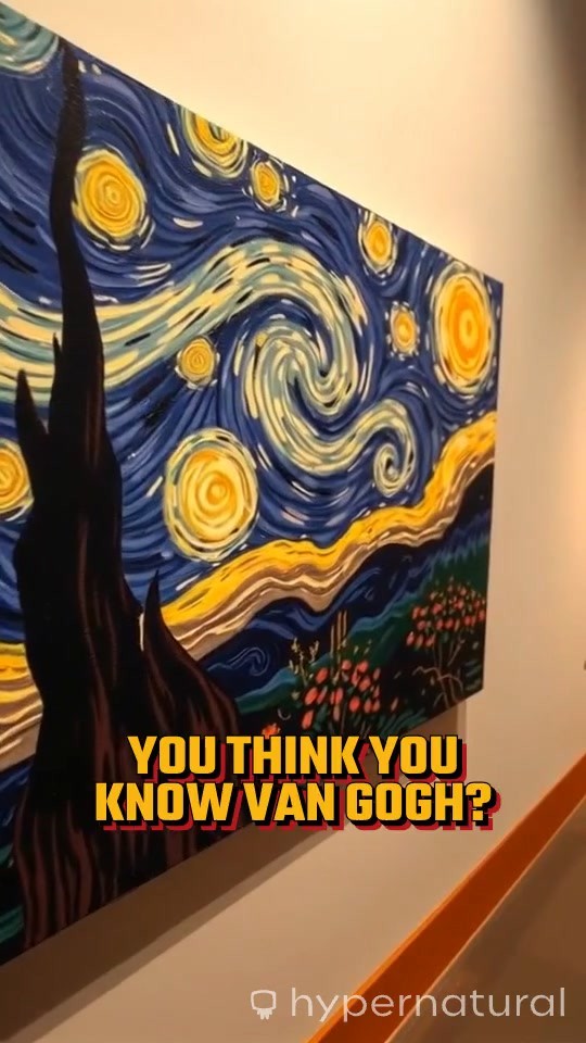 3 Surprising Facts About Van Gogh's Life and Art