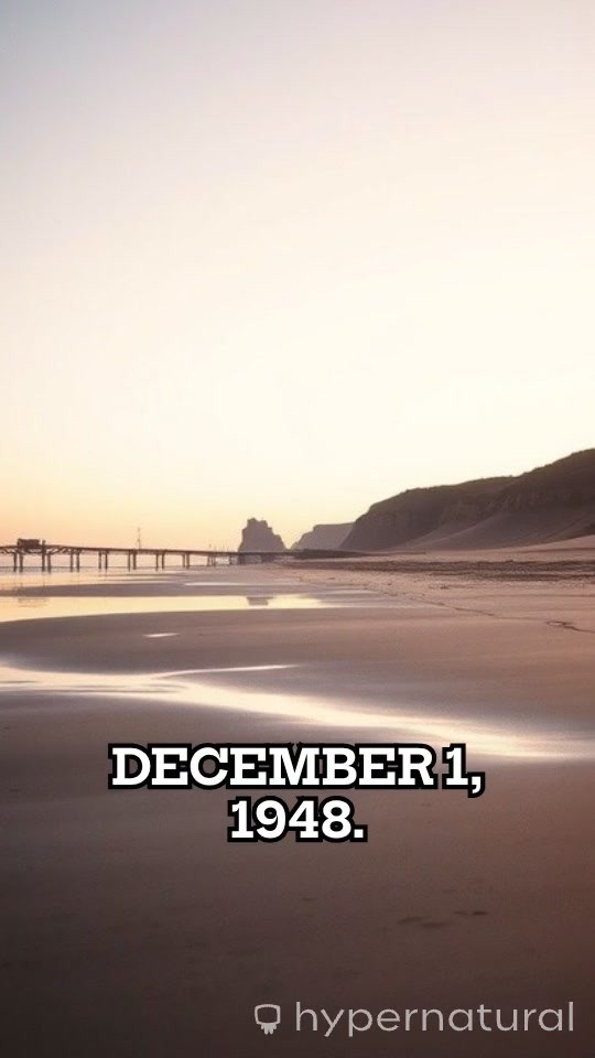 Tamám Shud: The Beach Mystery of 1940s