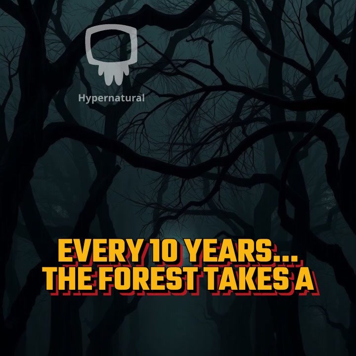 The Forest Takes a Bride