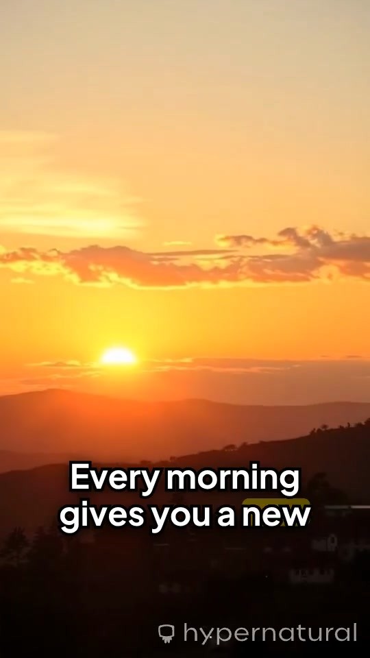 Embrace Every New Morning