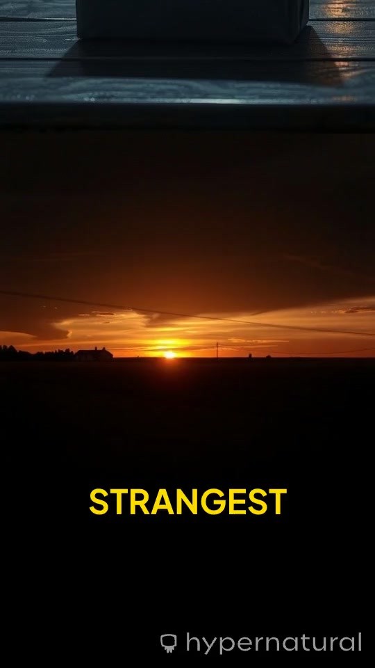 The Warning from 2040: A Mysterious USB Message