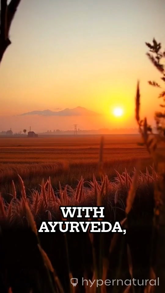 Balanced Weight Loss: Ayurvedic Principles for Lasting Results