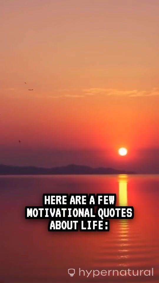 Motivational Quotes to Inspire Your Life Journey