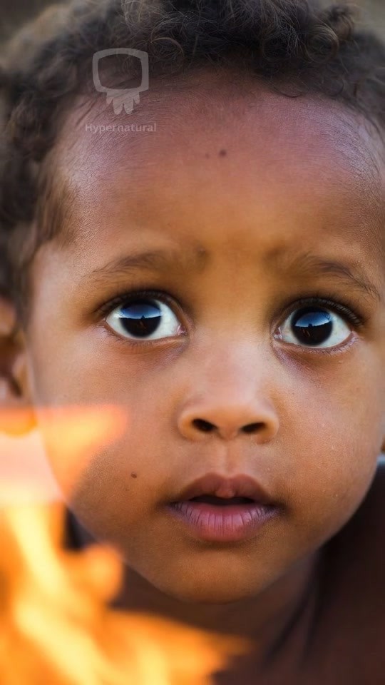 What Story Awaits in the Firelight?