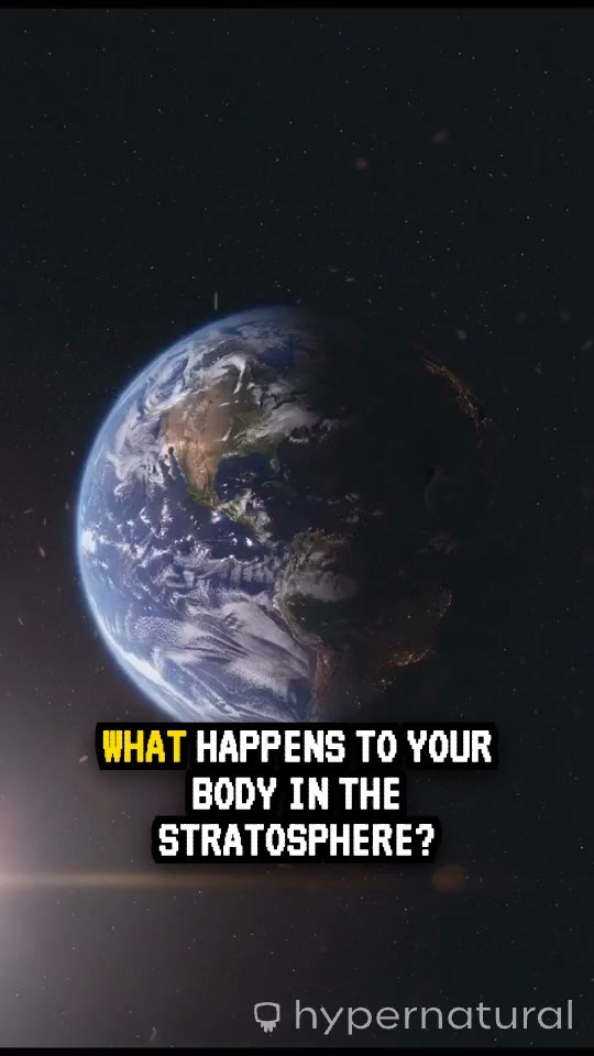 Survival in the Stratosphere: The Limits of the Human Body