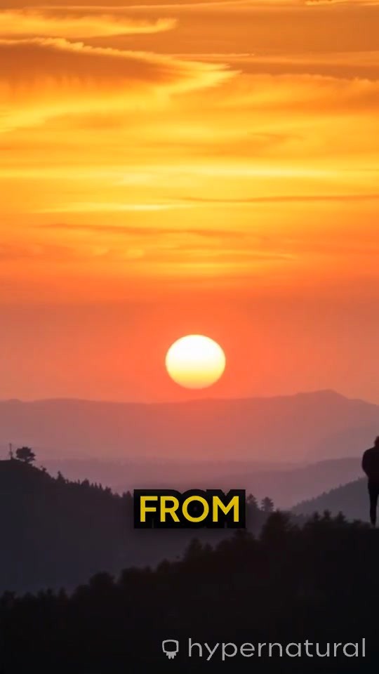 Dreams, Hope, and the Future of Indonesia