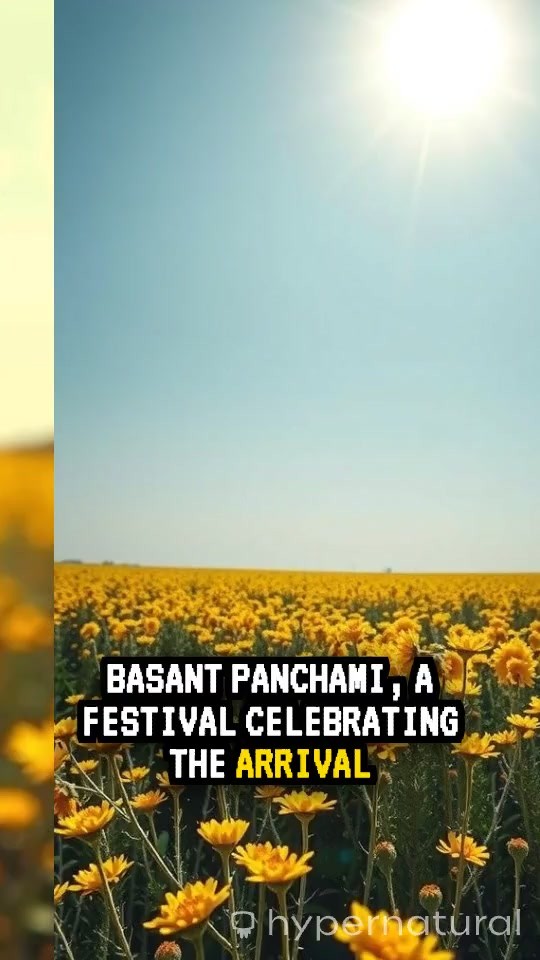 Origin of Basant Panchami