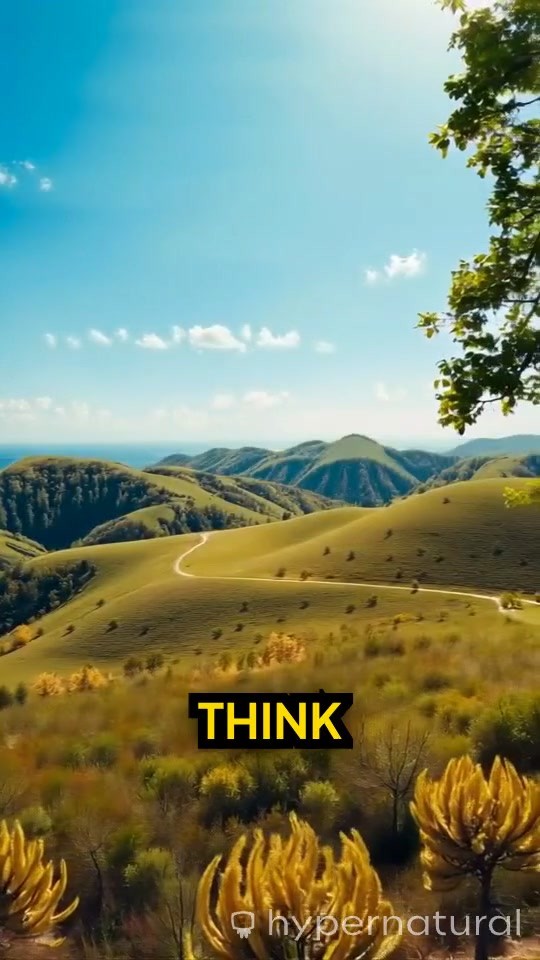 5 Surprising Facts About Texas