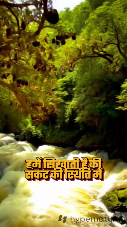 VN20250224_232424.mp4
