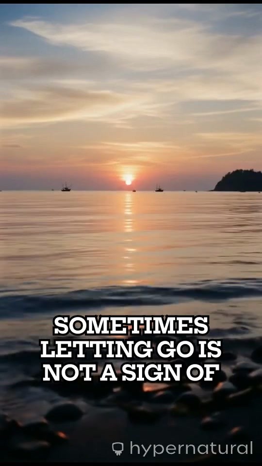 The Wisdom of Letting Go: Embracing New Beginnings