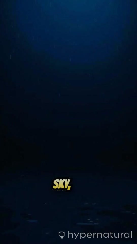 The Dawn of Humanity: A Journey Through Time