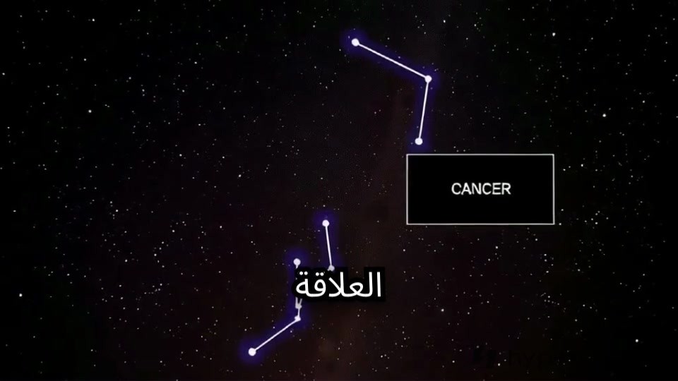 توافق الأبراج: علاقة الثور والسرطان