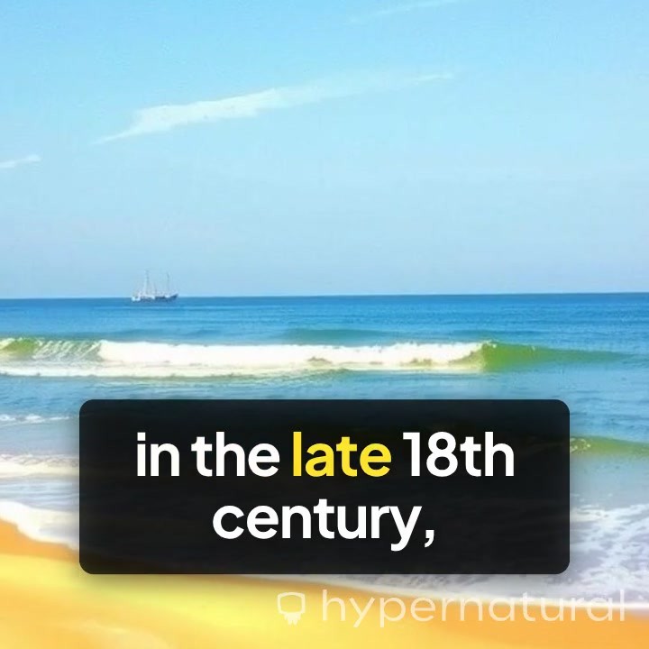 Who Named Freetown and Its Origin?