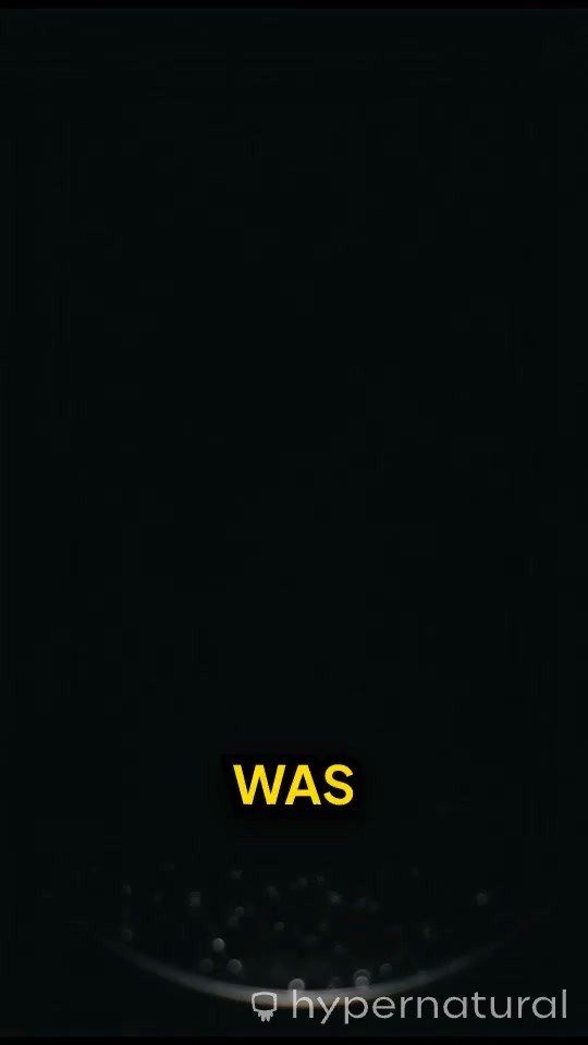 The 5-Day Creation of the World in Genesis 1 (copy)