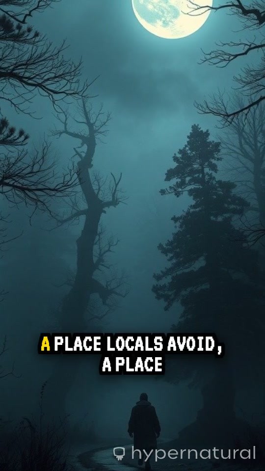 Echoes of the Hollow