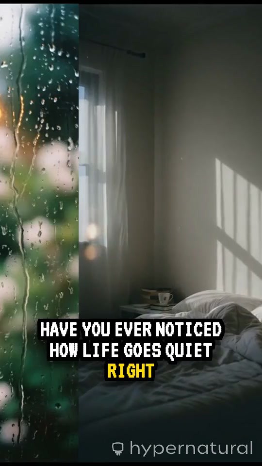 The Moment You Start