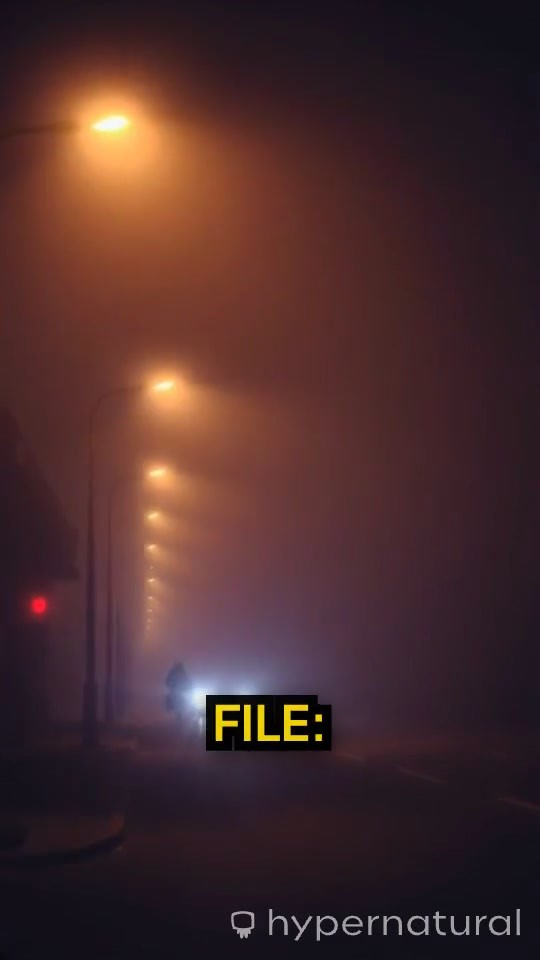 The Fog: Whispers in the Shadows