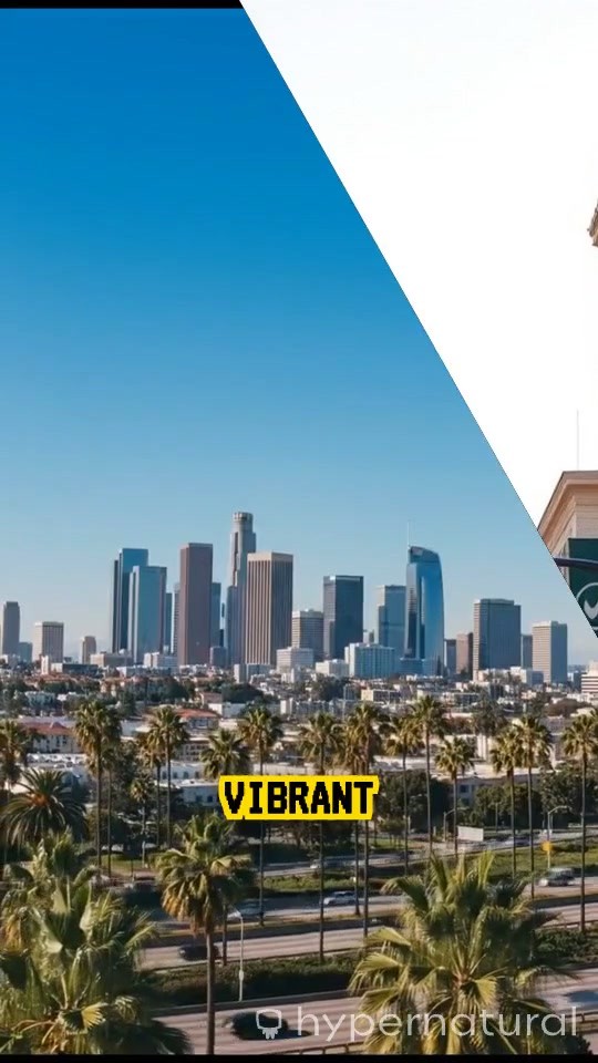 Your Trusted Real Estate Expert in Los Angeles