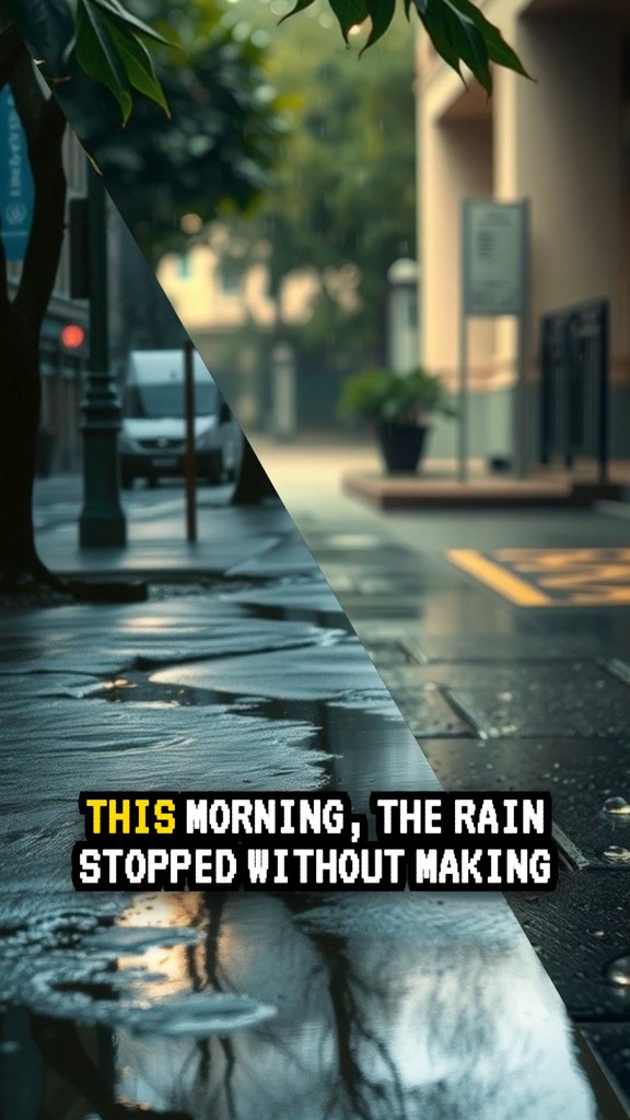 The Pause Between the Storms