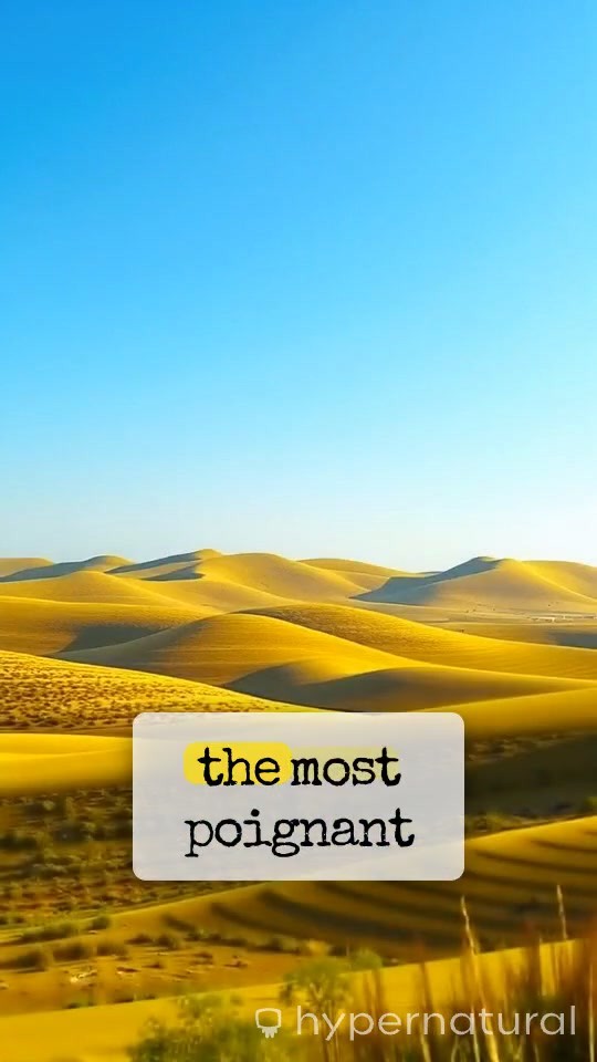 The Meaning Behind Jesus' Cry on the Cross