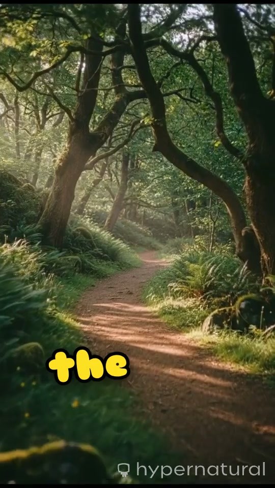 Recognizing True and False Prophets